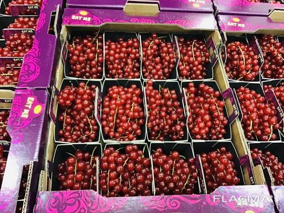 Фрукты и Ягоды Оптом