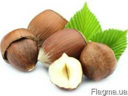 Фундук очищенный, бланш, жареный, Турция