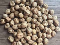 Фундук сырой