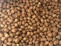 Фундук сирий Україна 1кг