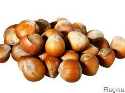 Фундук в скорлупе(Италия)