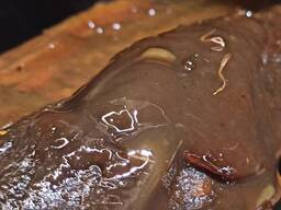 Фуз, баковый отстой, лопатный