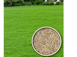 Газон Універсальний