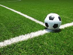 Газон Спортивний ваговий