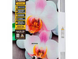 Газовая колонка дымоходная Sabio 10 л GP-orchid