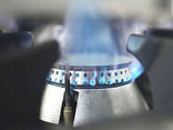 Газовая плита промышленная с духовкой ПГД-4 - фото 1
