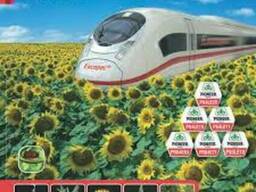 Гербицид Экспресс 750 г/кг "Du Pont", Express Sun.