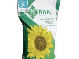 Семена подсолнечника гибрид Магнум фр. стандарт 2024