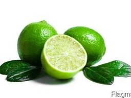 Гидролат Лайма 1 литр