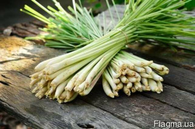 Гидролат Лемонграсса, 1 литр