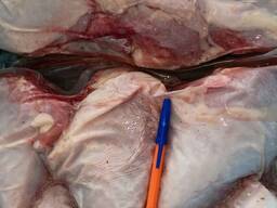 Голень индюшиная, крыло, шкура, мясо рубленое