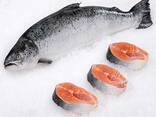 Морепродукти високої якості із замороженого філе горбуші вагою один фунт із поліетиленовим пакетом Ivp - фото 3