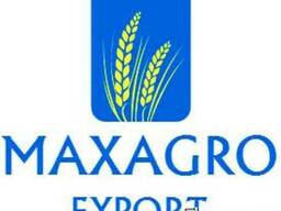 Горох, горчица, кориандр, лён, рапс на экспорт