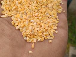 Горох сечка, горох колотый, гороховая крупа, горох половинки