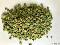 Горох зелений колотий