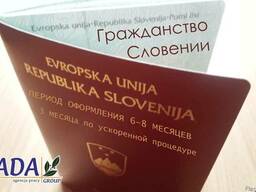 Гражданство Словении