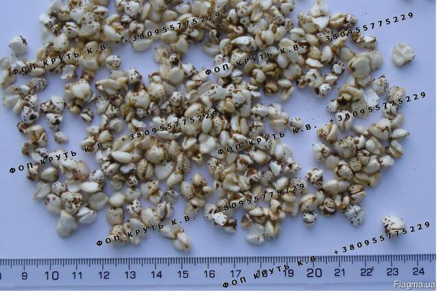 Гречиха воздушная (взорванная). Puffed buckwheat