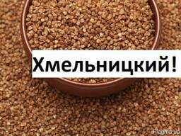 Куплю Гречку Хмельницкий Украина