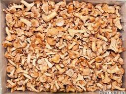 Гриб лисичка замороженная