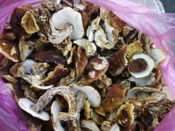 Белые целые сушенные грибы