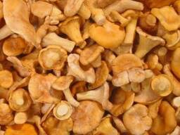 Грибы лисички замороженные