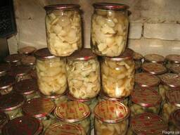 Грибы маринованные