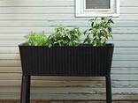 Грядка для растений Easy Grow Allibert, Keter - фото 2