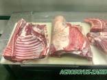Halal Meat Mutton and Lamb wholesale export/ Халяль Баранина оптом на экспорт - фото 3