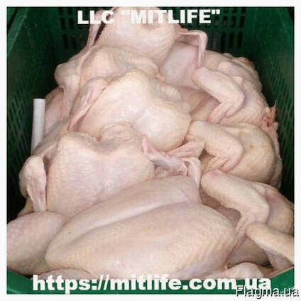Халяль курица оптом в Украине Halal chicken wholesale in Ukr