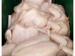 Халяль курица оптом в Украине Halal chicken wholesale in Ukr