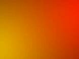 Ionol - фото 1