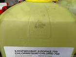 Хлормекват-Хлорид 750 регулятор росту на зернових культурах - фото 2