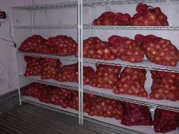 Холодильні агрегати для зберігання цибулі, овочеві склади