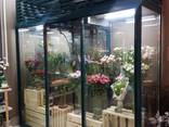 Холодильник для квітів; холодильна камера вітрина - Рівненська область - фото 1