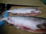 Горбуша 1,2-2,5 - фото 2