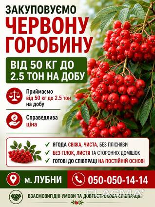 Горобина