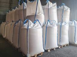 Горох Мадонна семена