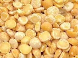 Горох жовтий