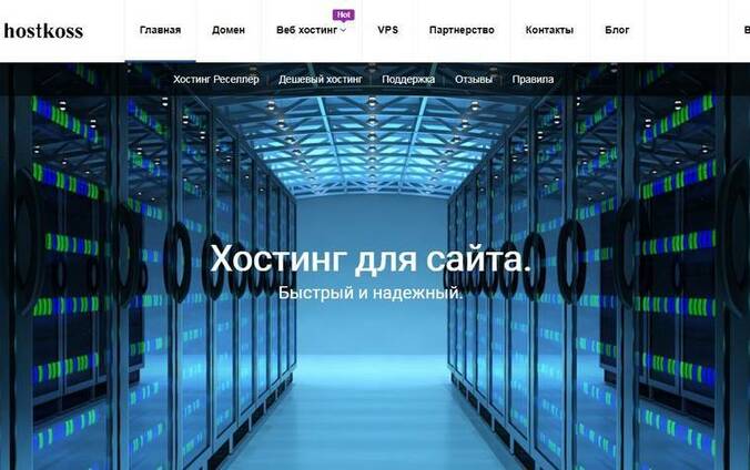 Хостинг hostkoss. com тариф - MINI-2