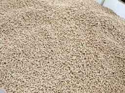 Гранула з дерева. Пропозиція для підприємств