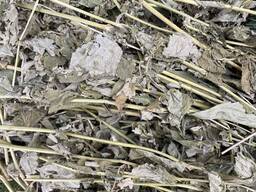 Гравілат, сушений гравілат, гребінник