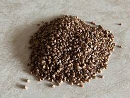 Гречка "Хмельницьк" 25 кг.