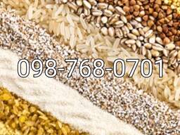 Гречка, пшенична, ячна, манка, рис. Крупи в асортименті за оптовими цінами