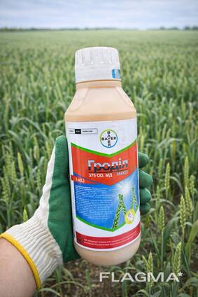 Гроділ Максі 1л оригінал