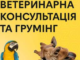 Триминг для животных, уход для собачки, котика и екзотических