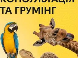 Грумінг для різних тваринок, гігієна, догляд за тваринками