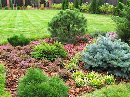 Кора сосновая Мульча Киевская область Киев