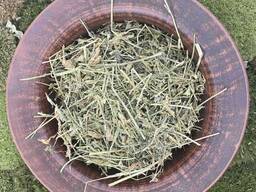 Грицики трава, сушена трава грицики, горобине око, дика гречка, калитник, мисочки, мішечки