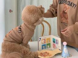 Худи на флисе для собаки Мишка 11215 L коричневое