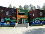Художественная роспись стен, роспись муралов - фото 3
